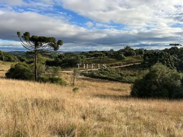 Sítio e chácara venda em Região Geográfica Imediata de Caxias do Sul, Caxias do Sul