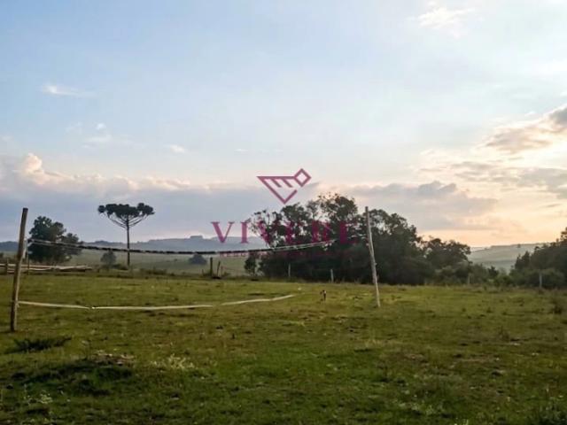 Sítio e chácara venda em Criúva, Caxias do Sul