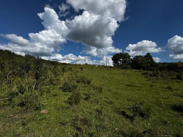 Sítio e chácara venda em Região Geográfica Imediata de Caxias do Sul, Caxias do Sul