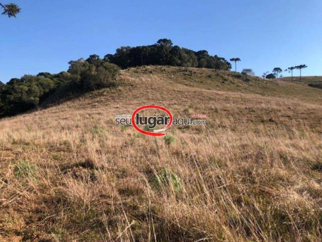 Sítio e chácara venda em Caxias do Sul, Região Geográfica Intermediária de Caxias do Sul