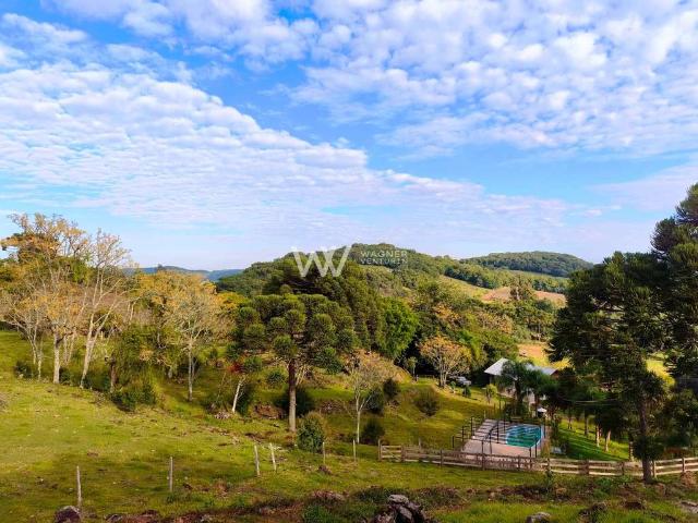 Sítio e chácara venda em Região Geográfica Imediata de Caxias do Sul, Caxias do Sul