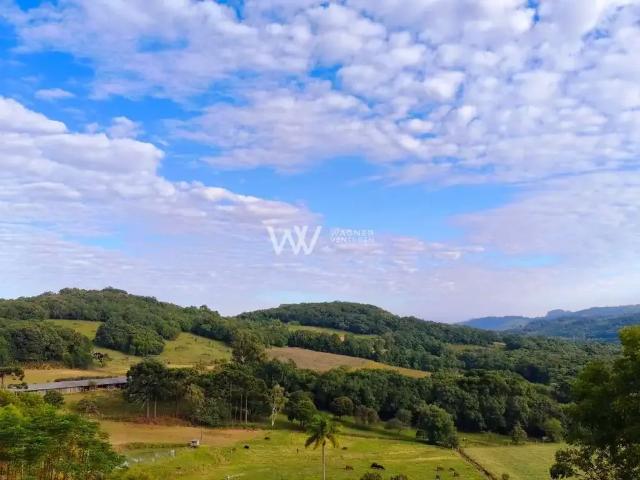 Sítio e chácara venda em Região Geográfica Imediata de Caxias do Sul, Caxias do Sul