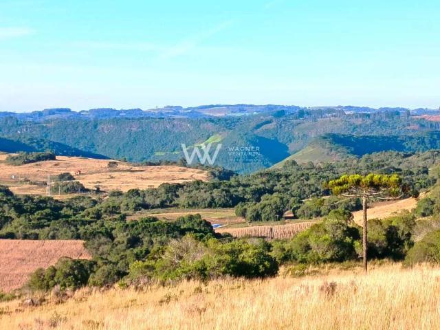 Sítio e chácara venda em Região Geográfica Imediata de Caxias do Sul, Caxias do Sul