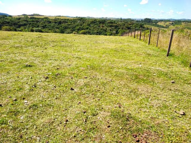 Sítio e chácara venda em Região Geográfica Imediata de Caxias do Sul, Caxias do Sul