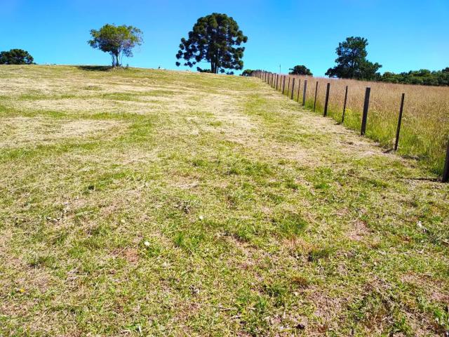 Sítio e chácara venda em Região Geográfica Imediata de Caxias do Sul, Caxias do Sul