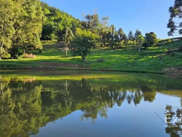 Sítio e chácara venda em Região Geográfica Imediata de Caxias do Sul, Caxias do Sul