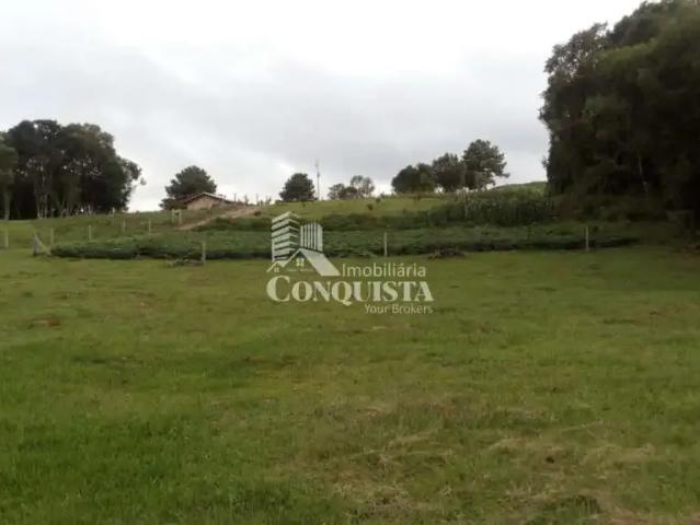 Sítio e chácara venda em Região Geográfica Imediata de Caxias do Sul, Caxias do Sul