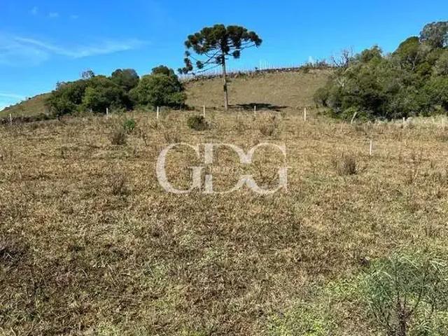 Sítio e chácara venda em Região Geográfica Imediata de Caxias do Sul, Caxias do Sul