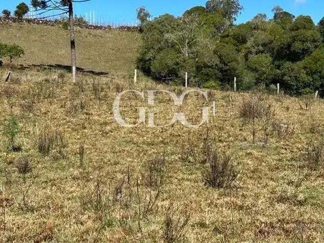 Sítio e chácara venda em Região Geográfica Imediata de Caxias do Sul, Caxias do Sul