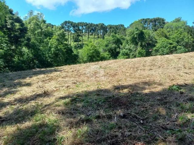 Sítio e chácara venda em Região Geográfica Imediata de Caxias do Sul, São Marcos