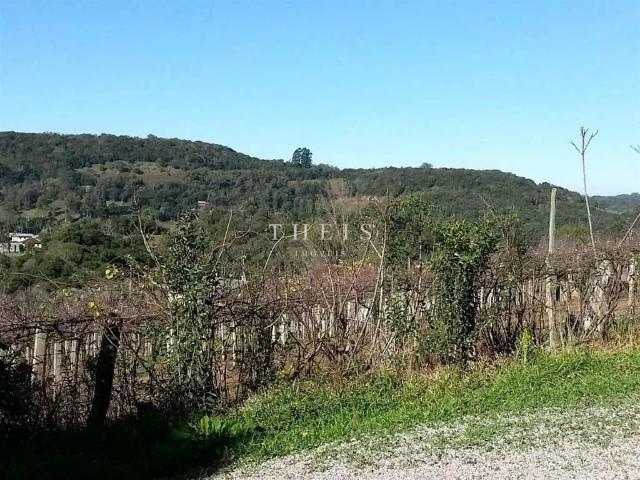 Sítio e chácara venda em Região Geográfica Imediata de Caxias do Sul, Caxias do Sul