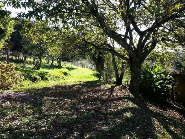 Sítio e chácara venda em Região Geográfica Imediata de Caxias do Sul, Caxias do Sul