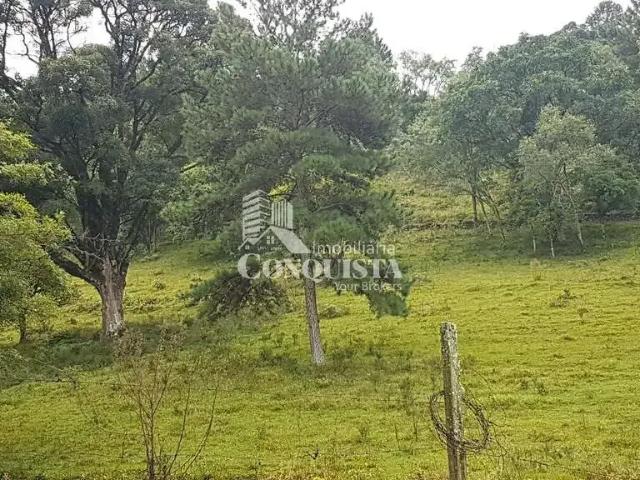 Sítio e chácara venda em Região Geográfica Imediata de Caxias do Sul, Caxias do Sul