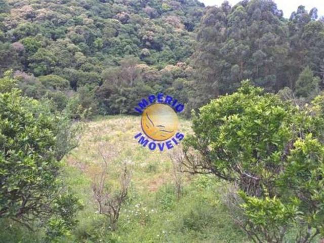 Sítio e chácara venda em Região Geográfica Imediata de Caxias do Sul, Caxias do Sul