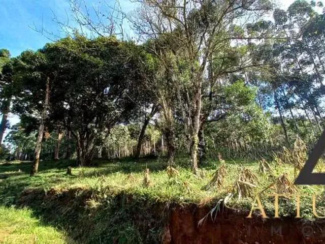 Sítio e chácara venda em Região Geográfica Imediata de Caxias do Sul, Caxias do Sul