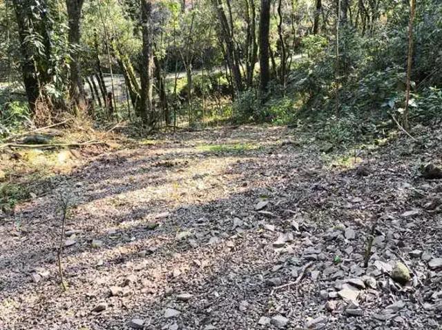 Sítio e chácara venda em Região Geográfica Imediata de Caxias do Sul, Caxias do Sul