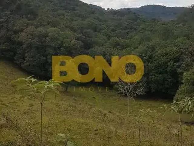 Sítio e chácara venda em Região Geográfica Imediata de Caxias do Sul, Caxias do Sul