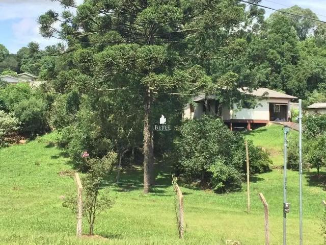 Sítio e chácara venda em Região Geográfica Imediata de Caxias do Sul, Caxias do Sul