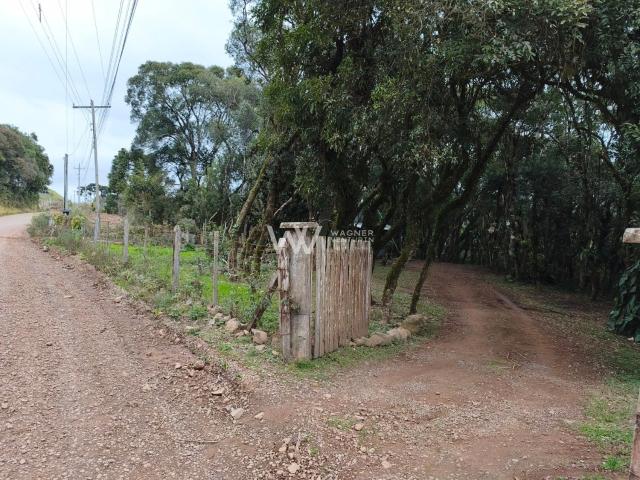 Sítio e chácara venda em Região Geográfica Imediata de Caxias do Sul, Caxias do Sul