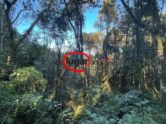 Sítio e chácara venda em Caxias do Sul, Região Geográfica Intermediária de Caxias do Sul