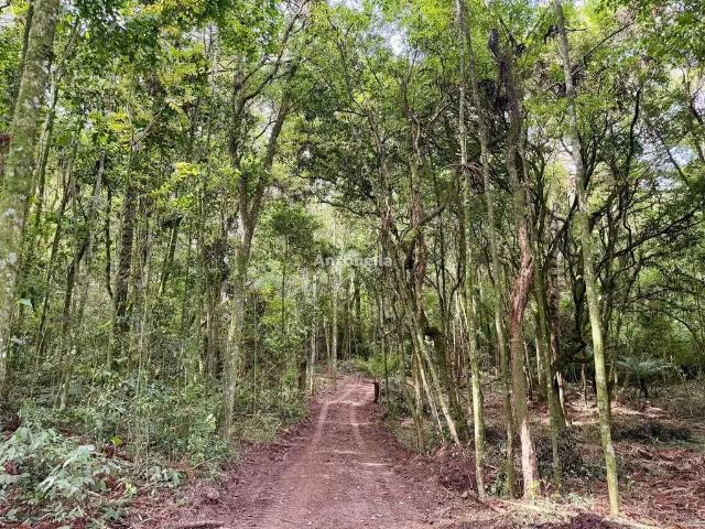 Sítio e chácara venda em Região Geográfica Imediata de Caxias do Sul, Caxias do Sul