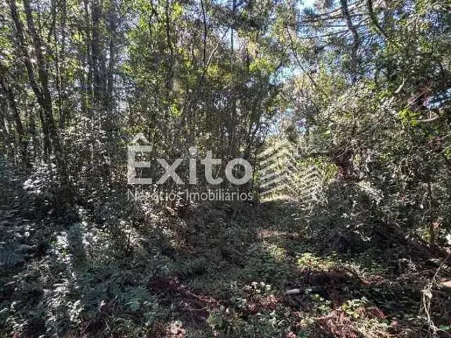 Sítio e chácara venda em Região Geográfica Imediata de Caxias do Sul, Caxias do Sul