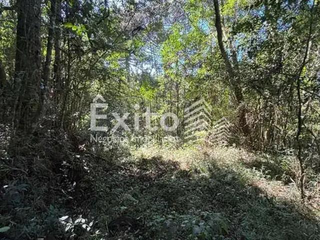 Sítio e chácara venda em Região Geográfica Imediata de Caxias do Sul, Caxias do Sul