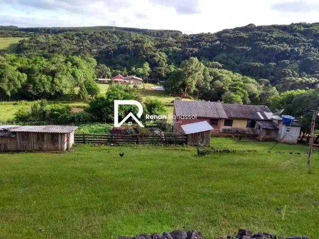 Sítio e chácara venda em Região Geográfica Imediata de Caxias do Sul, Caxias do Sul