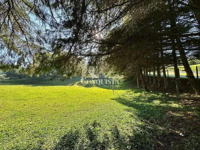 Sítio e chácara venda em Região Geográfica Imediata de Caxias do Sul, Caxias do Sul