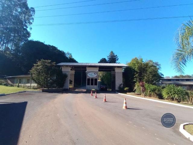 Sitio venda em Caxias do Sul, Fazenda Souza