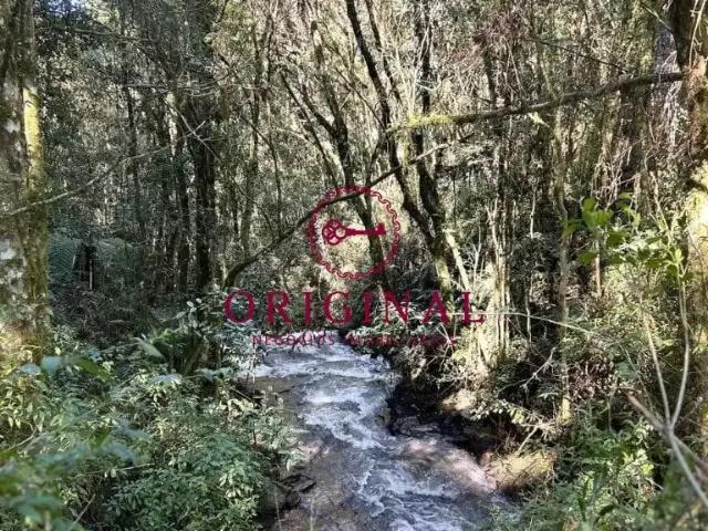 Sítio e chácara venda em Região Geográfica Imediata de Caxias do Sul, Caxias do Sul