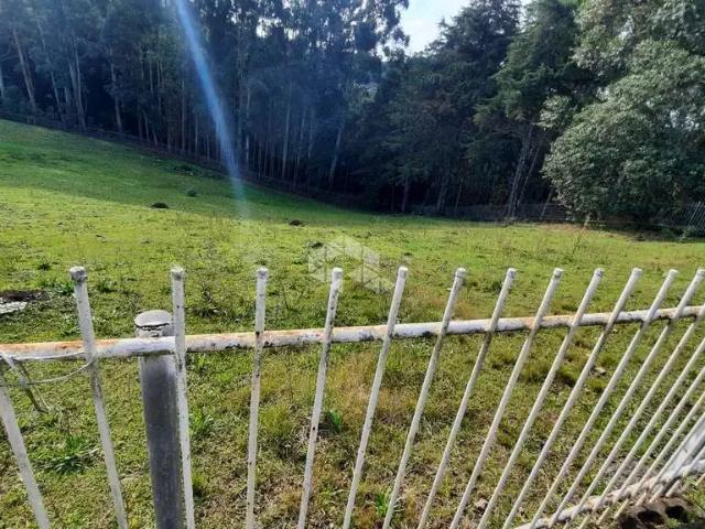 Sítio e chácara venda em Região Geográfica Imediata de Caxias do Sul, Caxias do Sul