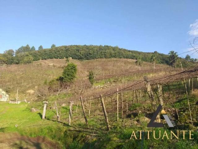 Sítio e chácara venda em Região Geográfica Imediata de Caxias do Sul, Caxias do Sul