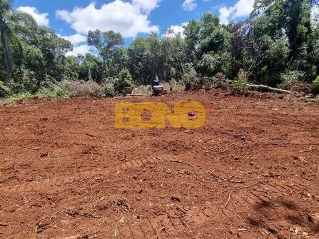 Sítio e chácara venda em Região Geográfica Imediata de Caxias do Sul, Caxias do Sul