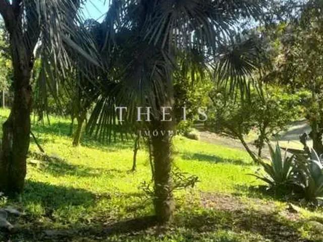 Sítio e chácara venda em Região Geográfica Imediata de Caxias do Sul, Caxias do Sul
