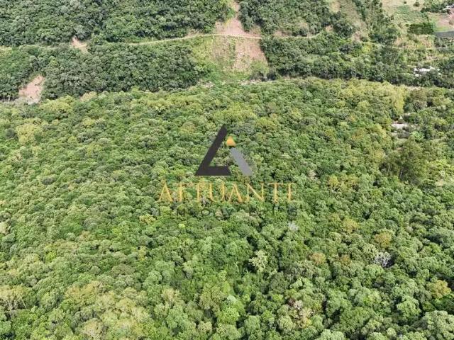 Sítio e chácara venda em Região Geográfica Imediata de Caxias do Sul, Caxias do Sul