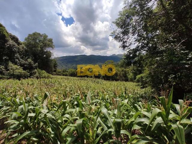 Sítio e chácara venda em Região Geográfica Imediata de Caxias do Sul, Caxias do Sul