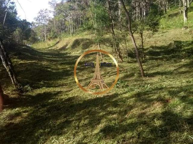 Sítio e chácara venda em Caxias do Sul, Região Geográfica Intermediária de Caxias do Sul