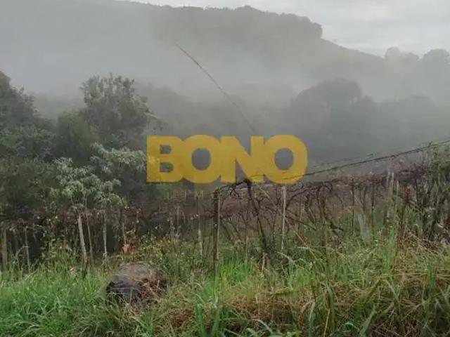 Sítio e chácara venda em Região Geográfica Imediata de Caxias do Sul, Caxias do Sul