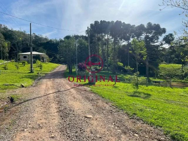 Sítio e chácara venda em Região Geográfica Imediata de Caxias do Sul, Caxias do Sul