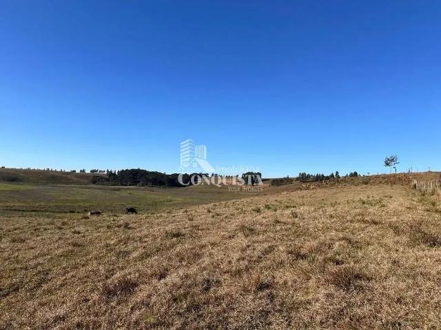 Sítio e chácara venda em Região Geográfica Imediata de Caxias do Sul, Flores da Cunha
