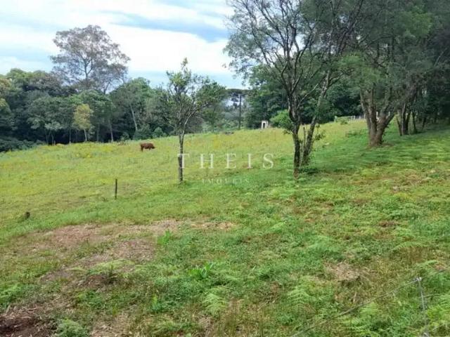 Sítio e chácara venda em Caxias do Sul, Região Geográfica Intermediária de Caxias do Sul
