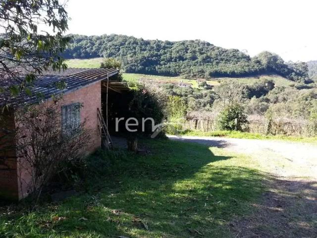 Sítio e chácara venda em Região Geográfica Imediata de Caxias do Sul, Caxias do Sul