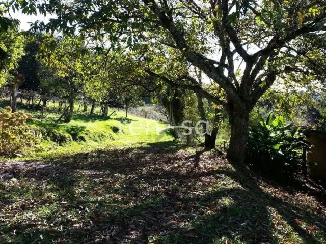Sítio e chácara venda em Região Geográfica Imediata de Caxias do Sul, Caxias do Sul
