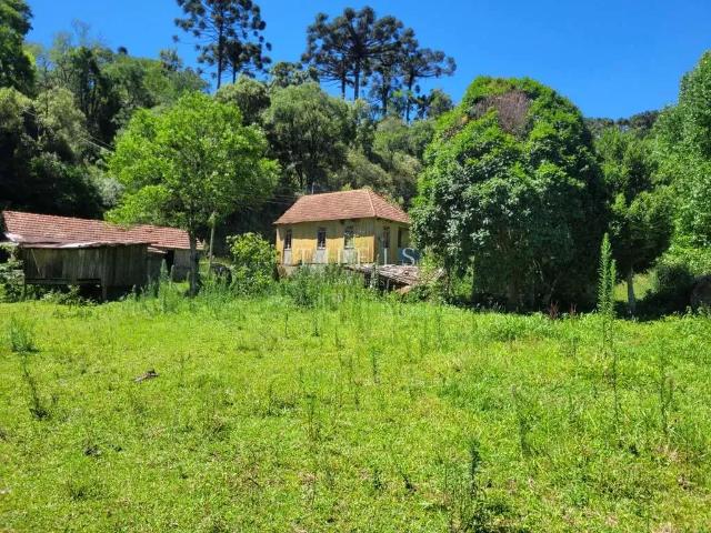 Sítio e chácara venda em Região Geográfica Imediata de Caxias do Sul, Caxias do Sul