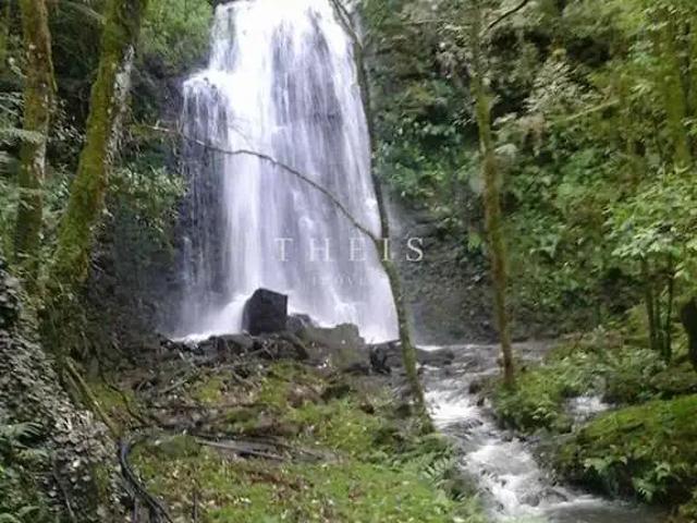 Sítio e chácara venda em Região Geográfica Imediata de Caxias do Sul, Caxias do Sul