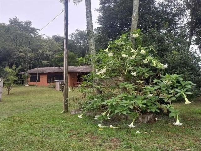 Sítio e chácara venda em Região Geográfica Imediata de Caxias do Sul, Caxias do Sul