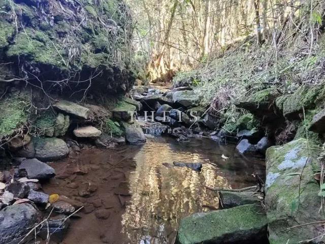 Sítio e chácara venda em Região Geográfica Imediata de Caxias do Sul, Caxias do Sul