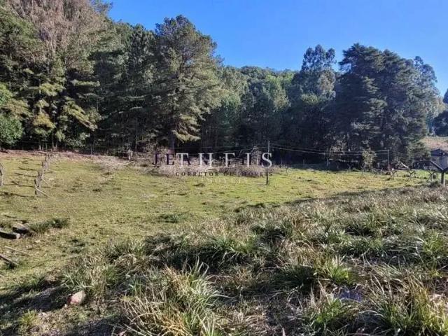 Sítio e chácara venda em Região Geográfica Imediata de Caxias do Sul, Caxias do Sul