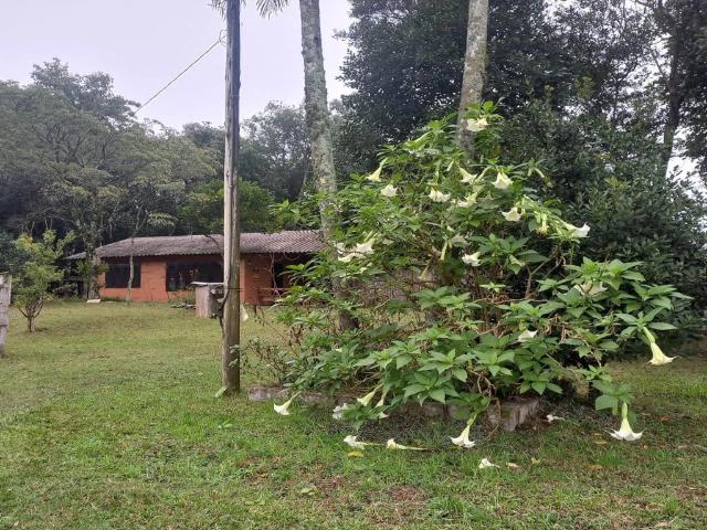 Sítio e chácara venda em Caxias do Sul, Região Geográfica Intermediária de Caxias do Sul